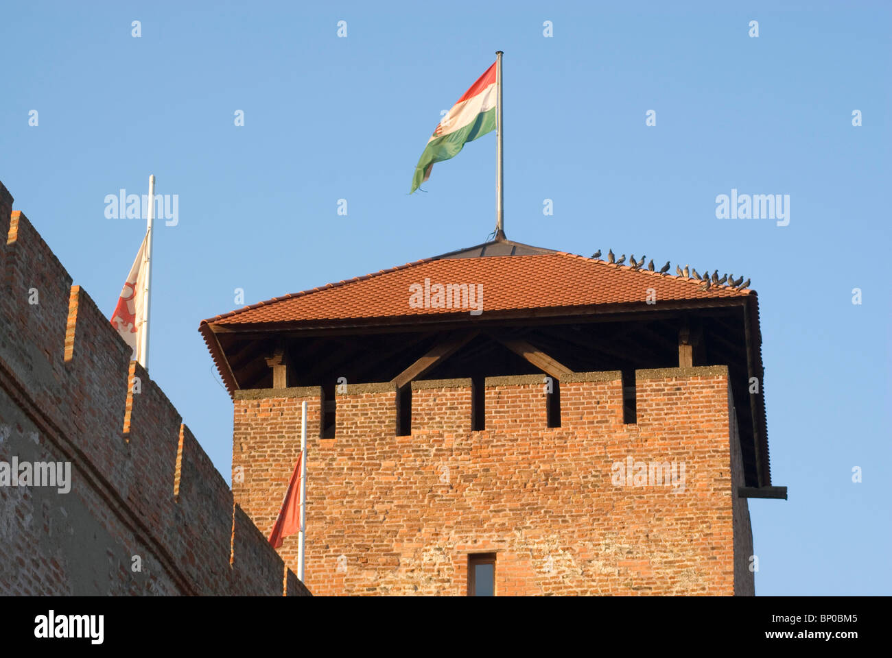 Beyond Gyula Castle: Searching for Hungary's True Tallest Building